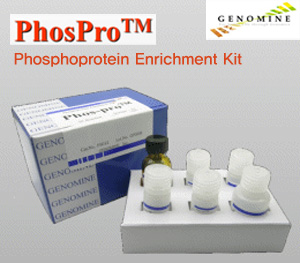 PhosPro Kit
